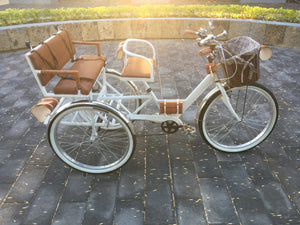 Tricicleta Noches Blancas 2022 RIN RIN BICLAS