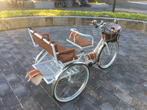 Tricicleta Noches Blancas 2022 RIN RIN BICLAS