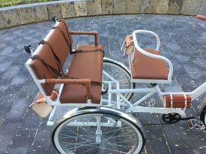 Tricicleta Noches Blancas 2022 RIN RIN BICLAS