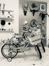 Cargar imagen en el visor de la galería, Par Enola y Eudoria Holmes RIN RIN BICLAS
