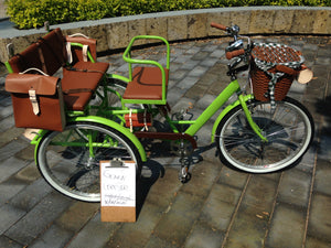 Tricicleta Lemon Tree 2021 banca delantera RIN RIN BICLAS