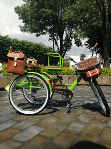 Tricicleta Lemon Tree 2021 banca delantera RIN RIN BICLAS