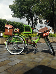 Tricicleta Lemon Tree 2021 banca delantera RIN RIN BICLAS