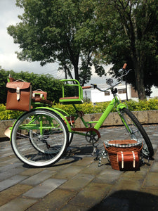 Tricicleta Lemon Tree 2021 banca delantera RIN RIN BICLAS