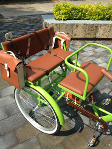 Tricicleta Lemon Tree 2021 banca delantera RIN RIN BICLAS