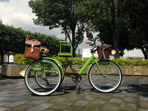 Tricicleta Lemon Tree 2021 banca delantera RIN RIN BICLAS