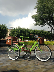 Tricicleta Lemon Tree 2021 banca delantera RIN RIN BICLAS