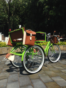 Tricicleta Lemon Tree 2021 banca delantera RIN RIN BICLAS