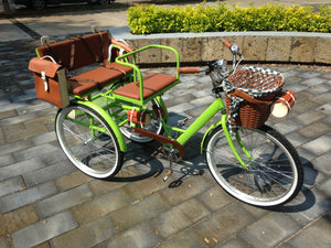 Tricicleta Lemon Tree 2021 banca delantera RIN RIN BICLAS