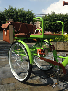 Tricicleta Lemon Tree 2021 banca delantera RIN RIN BICLAS