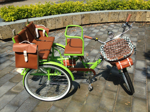 Tricicleta Lemon Tree 2021 banca delantera RIN RIN BICLAS