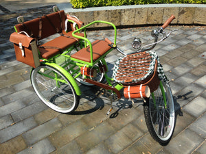 Tricicleta Lemon Tree 2021 banca delantera RIN RIN BICLAS