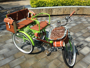 Tricicleta Lemon Tree 2021 banca delantera RIN RIN BICLAS