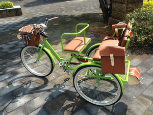 Tricicleta Lemon Tree 2021 banca delantera RIN RIN BICLAS
