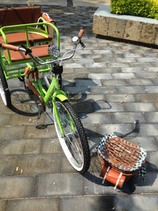 Tricicleta Lemon Tree 2021 banca delantera RIN RIN BICLAS