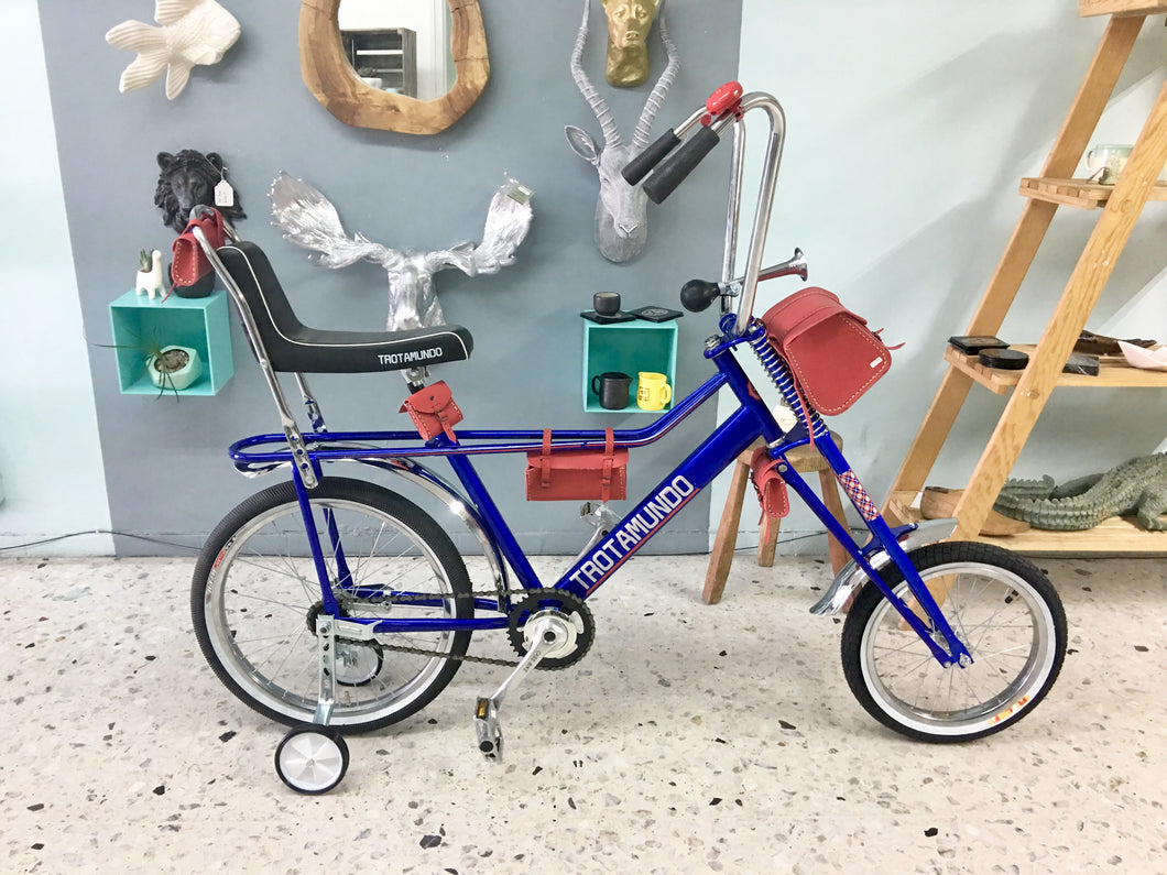 Vagabundo Blue Ray RIN RIN BICLAS