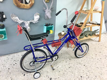 Cargar imagen en el visor de la galería, Vagabundo Blue Ray RIN RIN BICLAS
