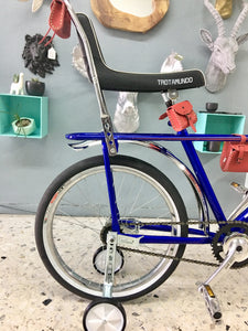 Vagabundo Blue Ray RIN RIN BICLAS