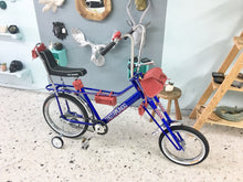 Cargar imagen en el visor de la galería, Vagabundo Blue Ray RIN RIN BICLAS

