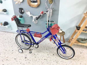 Vagabundo Blue Ray RIN RIN BICLAS