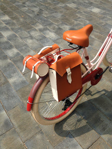 Kit de Alforjas 704c Rin Rin Biclas