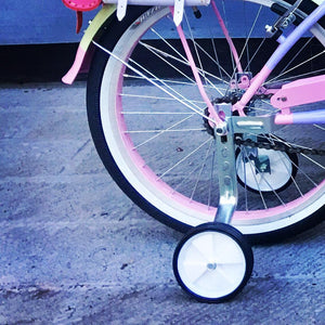 Par de bicicletas Curve Bruise RIN RIN BICLAS