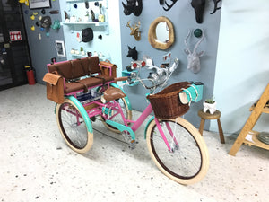Tricicleta Hannah Baker 2.0 2021 RIN RIN BICLAS