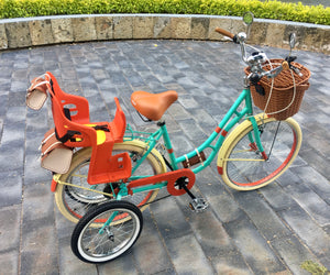 Hardluminium Ten Walls RIN RIN BICLAS
