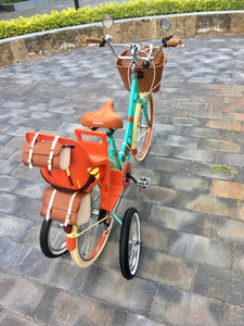 Hardluminium Ten Walls RIN RIN BICLAS