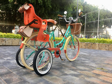 Cargar imagen en el visor de la galería, Hardluminium Ten Walls RIN RIN BICLAS
