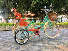 Cargar imagen en el visor de la galería, Hardluminium Ten Walls RIN RIN BICLAS
