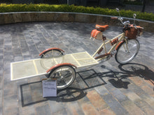 Cargar imagen en el visor de la galería, Food bike Plataforma jalón chocolat 2022 RIN RIN BICLAS
