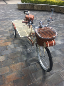 Food bike Plataforma jalón chocolat 2022 RIN RIN BICLAS