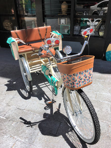 Tricicleta Natalia Alianovna Romanova 2019 RIN RIN BICLAS