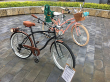 Cargar imagen en el visor de la galería, Par de bicicletas Crazy, Stupid, Love RIN RIN BICLAS
