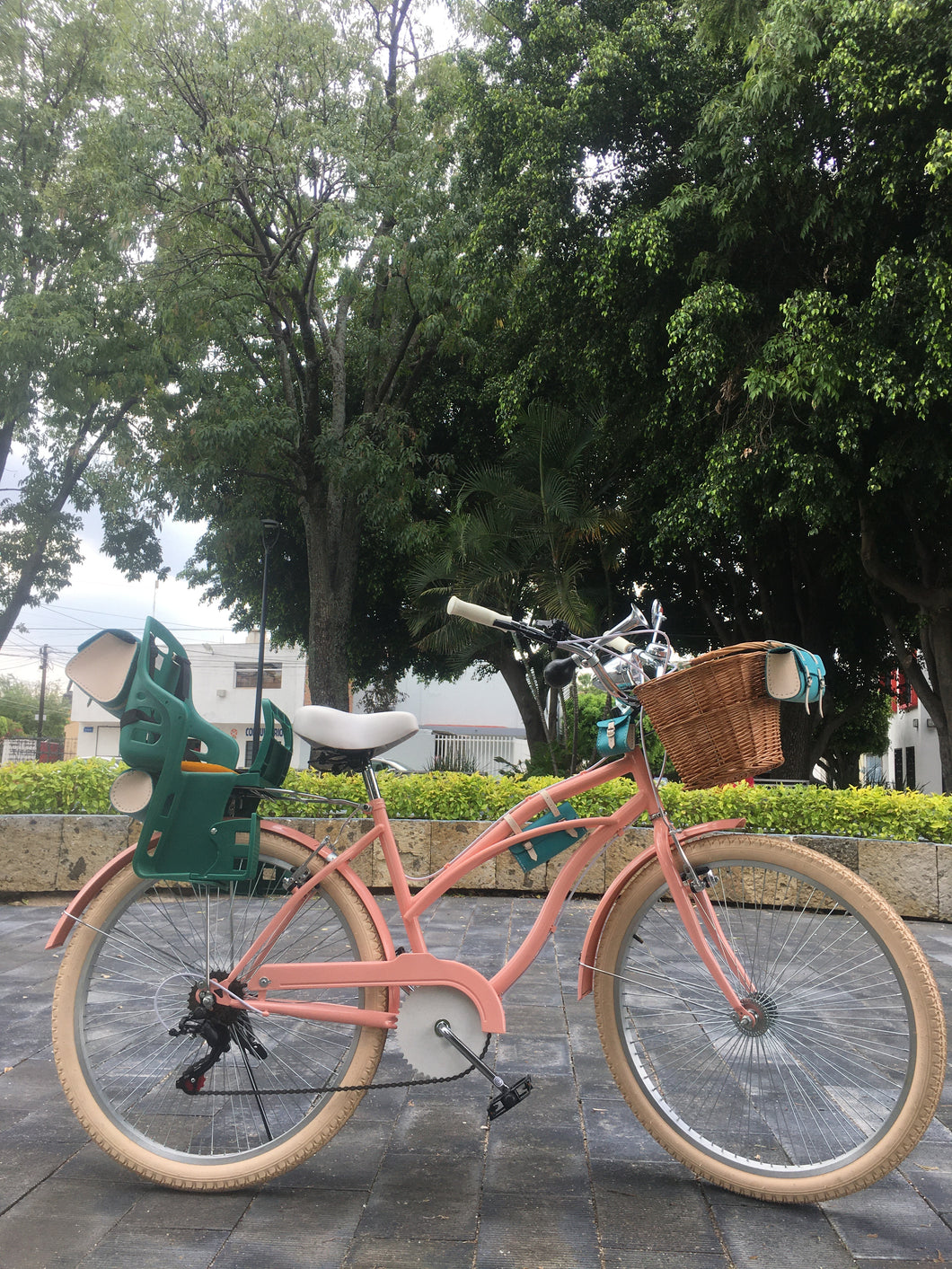 Curve D coco con porta bebé RIN RIN BICLAS