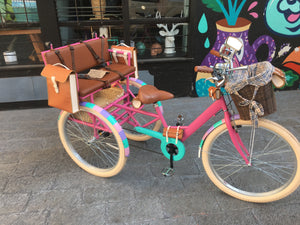 Tricicleta Everlasting Fun 3.0 2020 RIN RIN BICLAS