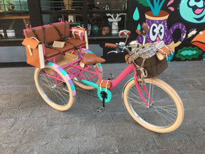 Tricicleta Everlasting Fun 3.0 2020 RIN RIN BICLAS