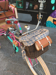 Tricicleta Everlasting Fun 3.0 2020 RIN RIN BICLAS