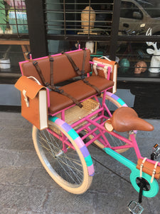Tricicleta Everlasting Fun 3.0 2020 RIN RIN BICLAS