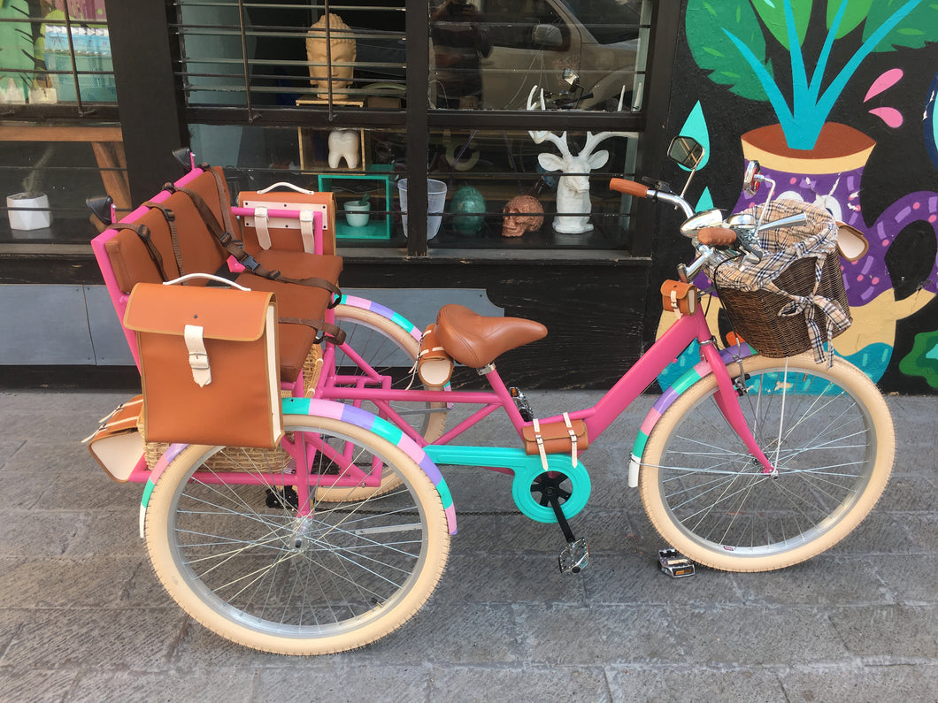 Tricicleta Everlasting Fun 3.0 2020 RIN RIN BICLAS