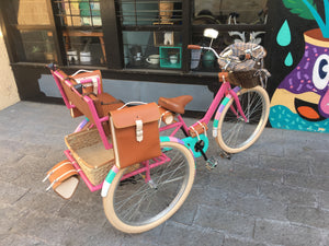 Tricicleta Everlasting Fun 3.0 2020 RIN RIN BICLAS