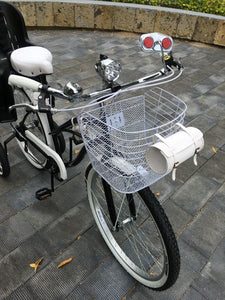 Curve D Meg White 2022 RIN RIN BICLAS