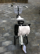 Cargar imagen en el visor de la galería, Curve D Meg White 2022 RIN RIN BICLAS
