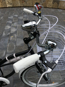 Curve D Meg White 2022 RIN RIN BICLAS