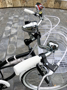 Curve D Meg White 2022 RIN RIN BICLAS