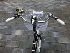 Curve D Meg White 2022 RIN RIN BICLAS