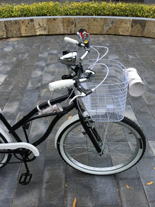 Curve D Meg White 2022 RIN RIN BICLAS
