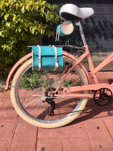 Curve D Coco 2020 RIN RIN BICLAS