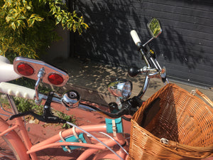 Curve D Coco 2020 RIN RIN BICLAS